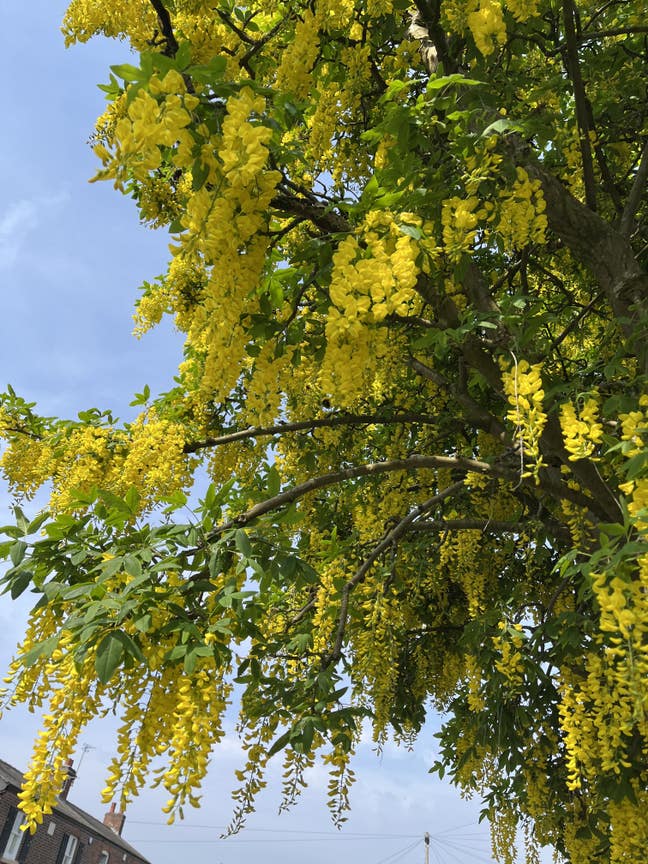 Seeking Long-Term Room Main Photo