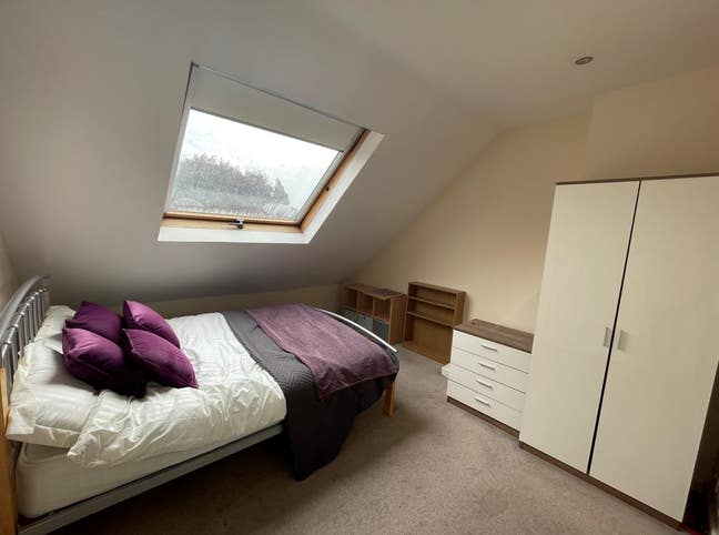 Lovely En Suite room - Avenues Location! Main Photo