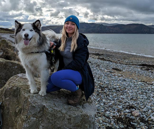 Room for professional and dog. Main Photo