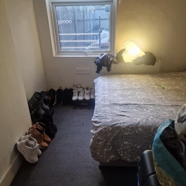 Female housemate wanted Main Photo