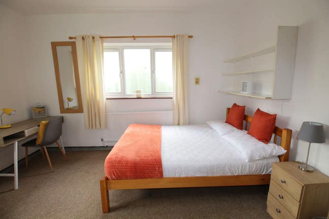 Large double room to let Main Photo
