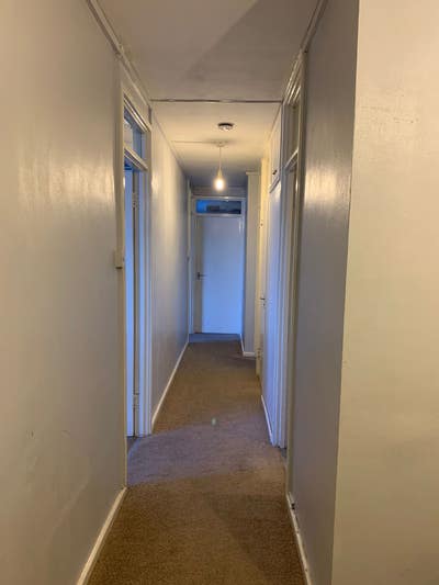 Cozy double bedroom in a homely flat Main Photo
