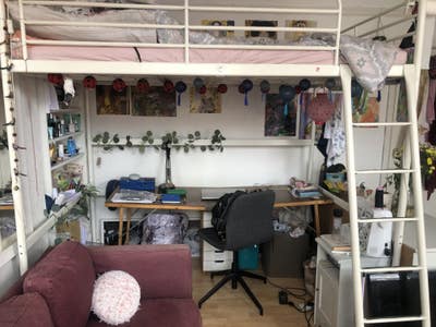 Big bright room for short-term sublet Main Photo