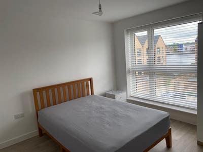 Female roomate -Double bed room  in Chatham Main Photo