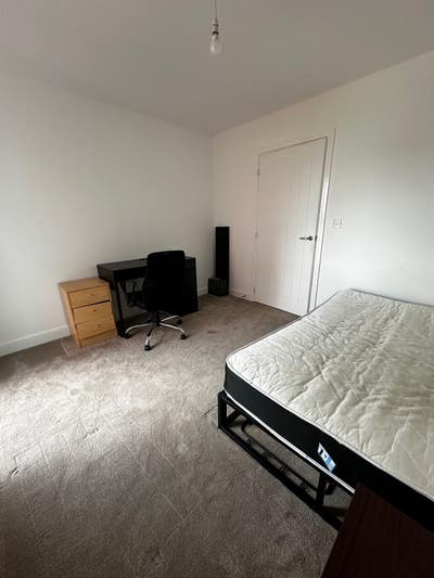 Room and bathroom available in 2 bed flat with dog Main Photo