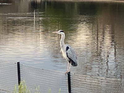 Looking to rent coastal or Broads  2wk on 2wk off Main Photo