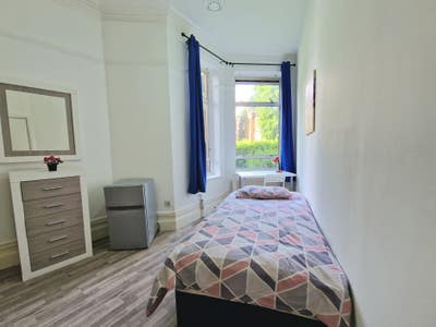 Cozy room in a flat in Willesden Green  Main Photo