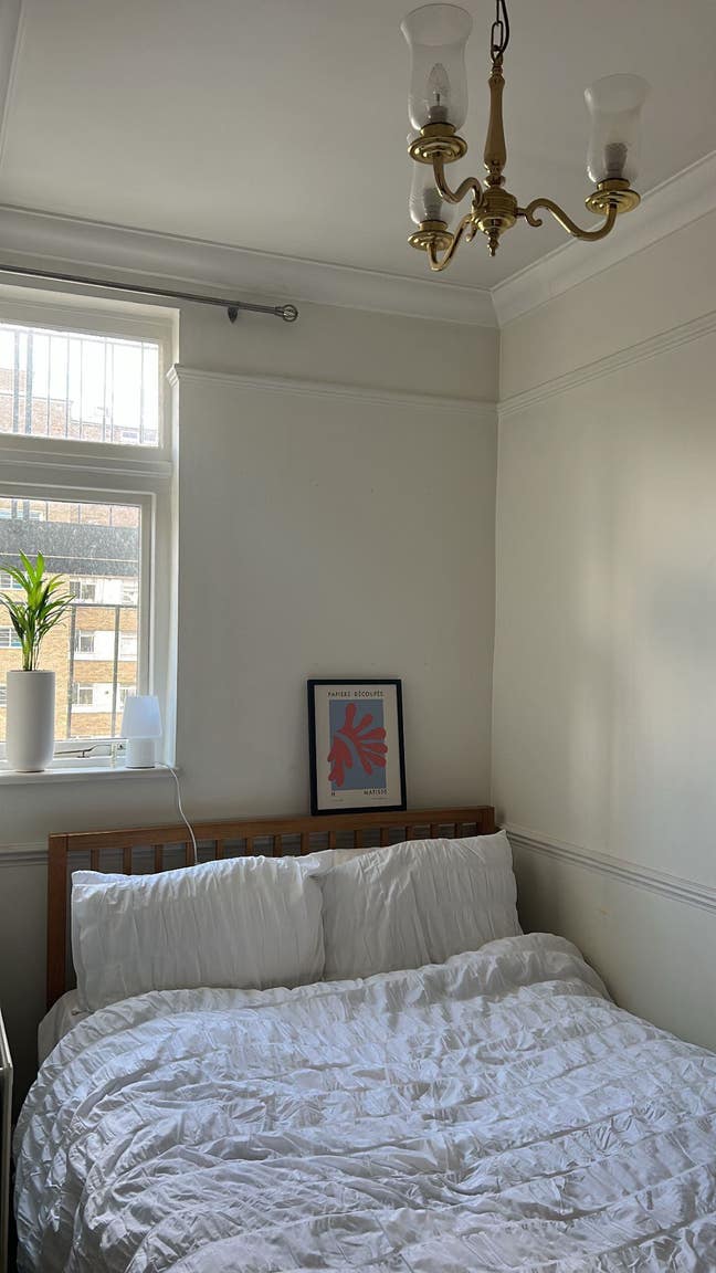 Room Available in Central London Main Photo