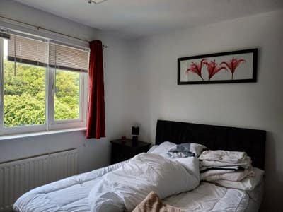 Double room available. No couples  . Main Photo