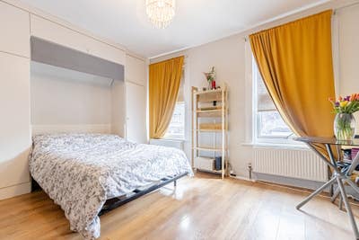 Spacious self contained studio flat in N17 Main Photo