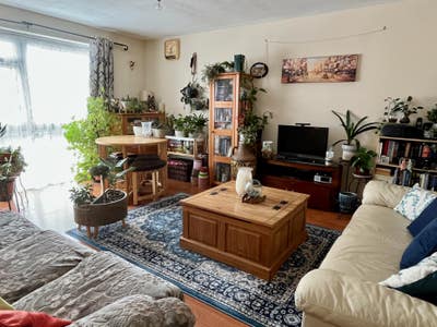Single Room in a Spacious & Cosy Flat - Wood Green Main Photo