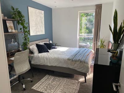 Double room / own bathroom East Village flat share Main Photo