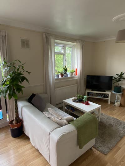 Little room in lovely & leafy Brockley 🍃  Main Photo