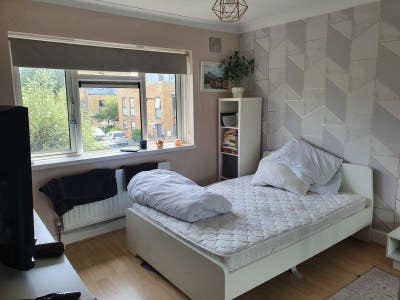 Large Bright room in a  quiet shared house Main Photo