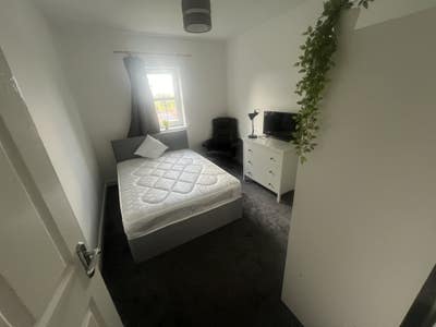 Bright double room in two bed shared apartment Main Photo