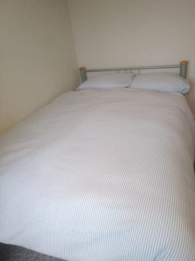 A friendly household looking for  professionals Main Photo