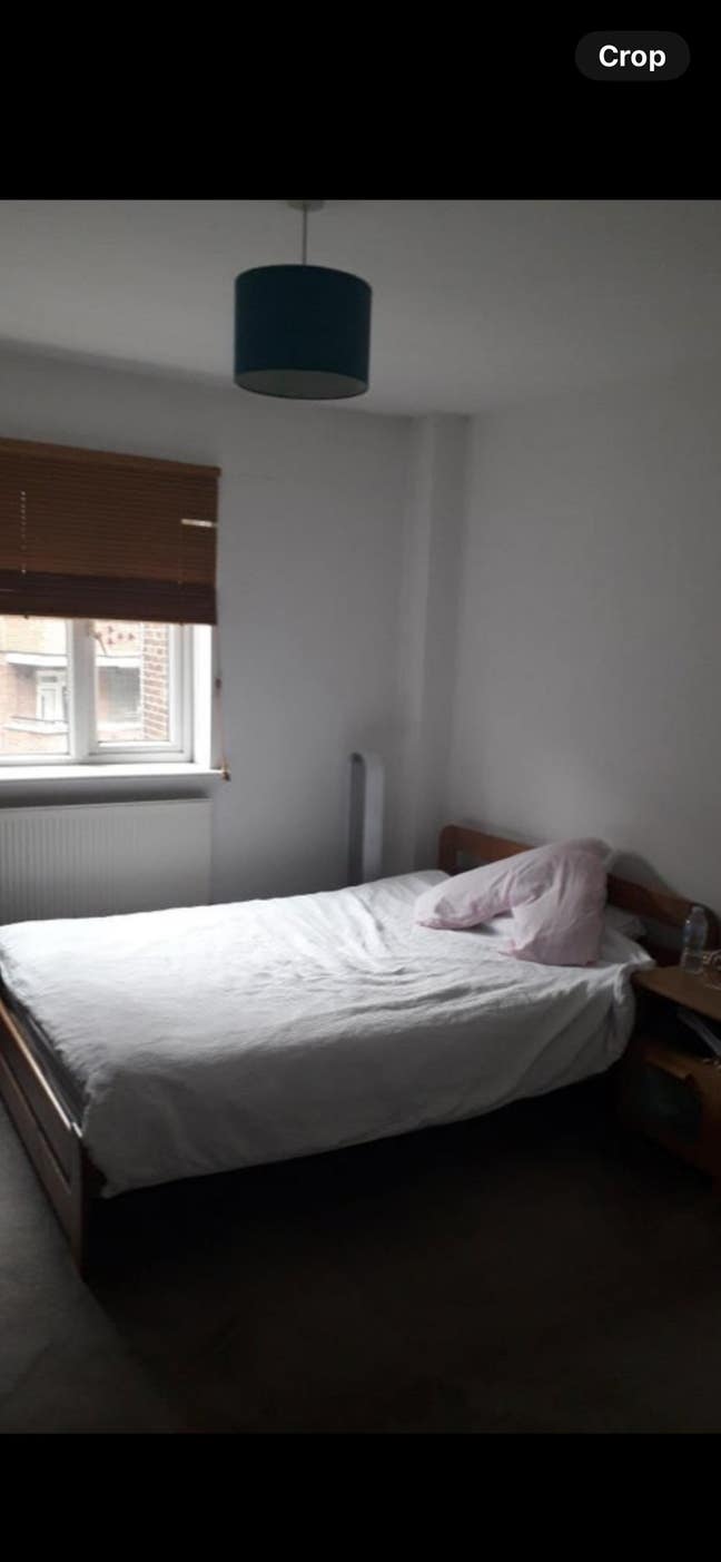Great double zone 2, professional share- &pound;800 pcm  Main Photo