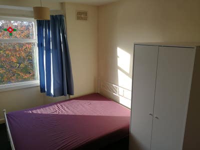 Room to Let. Main Photo