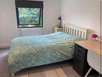 Lovely double room ; PR/East Dulwich - Family home Main Photo