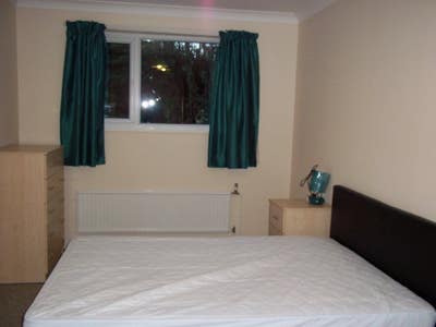 Double Room for Single Professional Main Photo