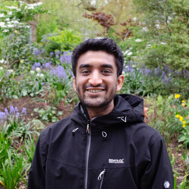 27 y/o professional looking for short term place Main Photo