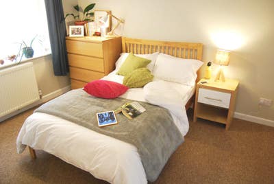 Put Down Roots 🌿 Friendly Peaceful Houseshare🧘💕 Main Photo