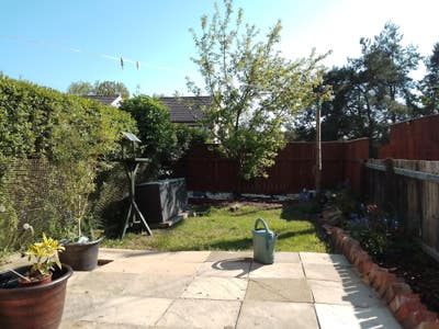 Looking for 1 sharer in house near Sedgefield  Main Photo
