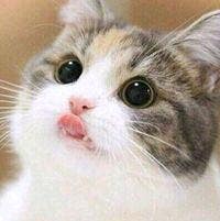 Looking for room to rent Main Photo