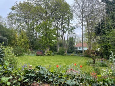 🪴 Tranquil Home in Blackheath Village Main Photo