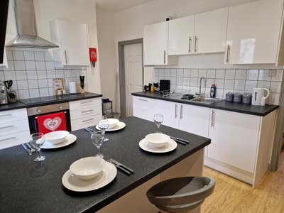 [CH1SPT]  Professional Home Females Preferred  Main Photo