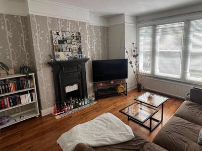 Great Room in Friendly Flat Main Photo