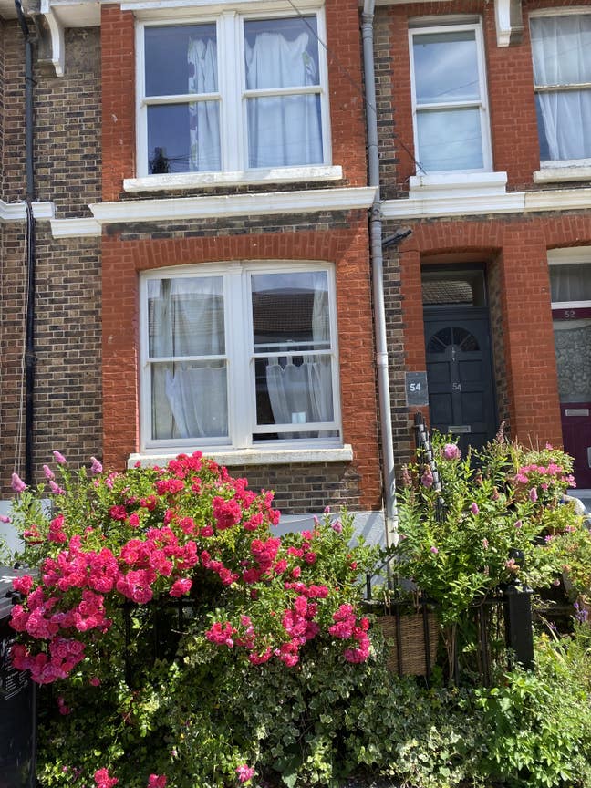 Bright room in friendly Victorian Kemptown home Main Photo