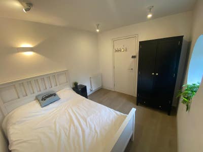 Friendly Addition Wanted for Sociable Household Main Photo