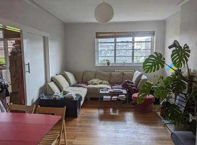 Massive double room in spacious sunny flat Main Photo