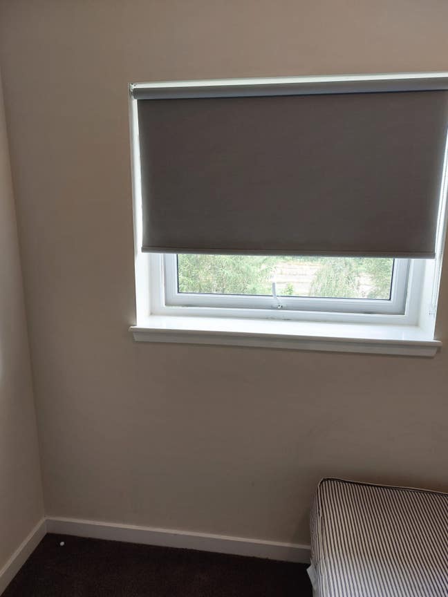 Single Room To Let Main Photo