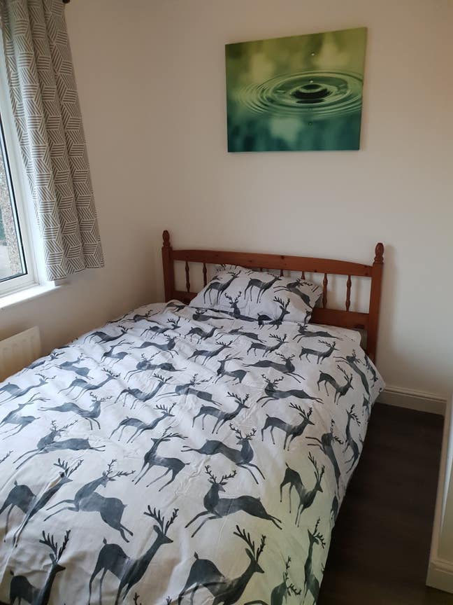 En-suite room to let Main Photo