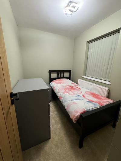 Amazing Single Room in friendly renovated home Main Photo