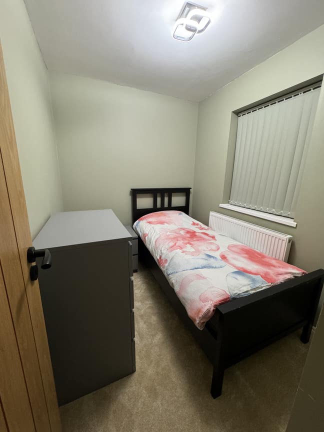 Amazing Single Room in friendly renovated home Main Photo