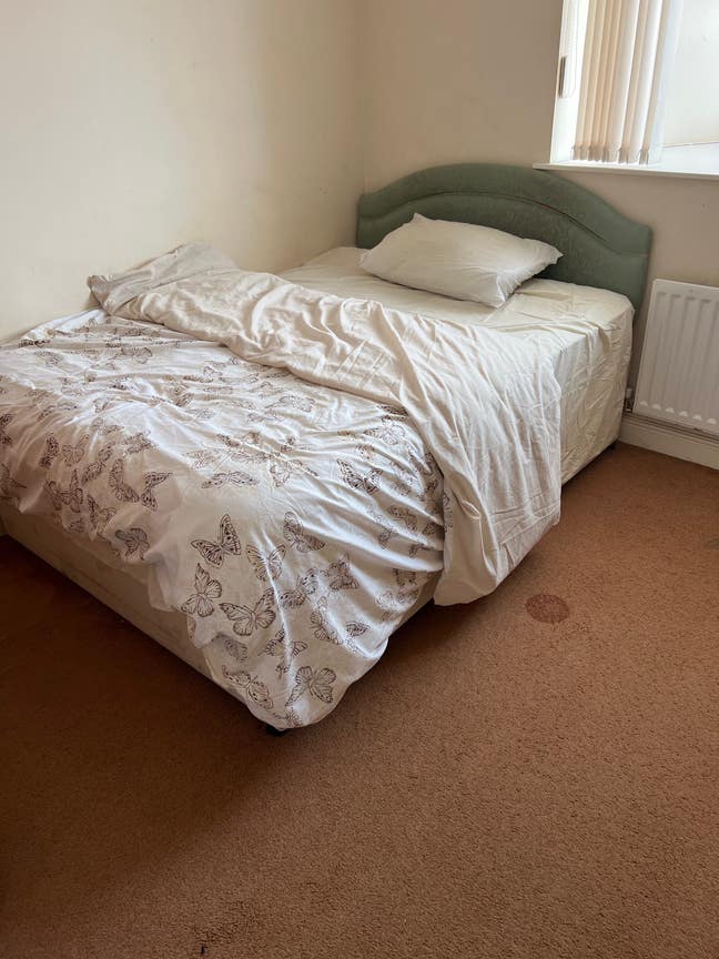 Room Available asap  Main Photo