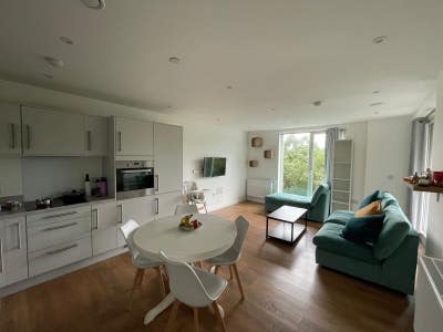 1 Bed Furnished Apartment Christmas Week (1 Week) Main Photo