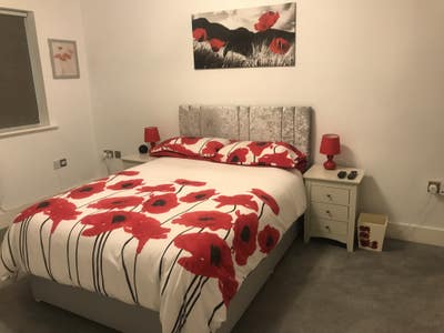 Large Double En-Suite Room to rent in apartment Main Photo