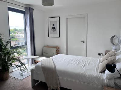 Large Double Ensuite in 2 bed flat Main Photo