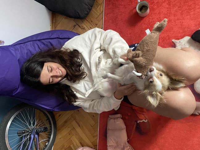 Looking for a Cozy Flat Main Photo