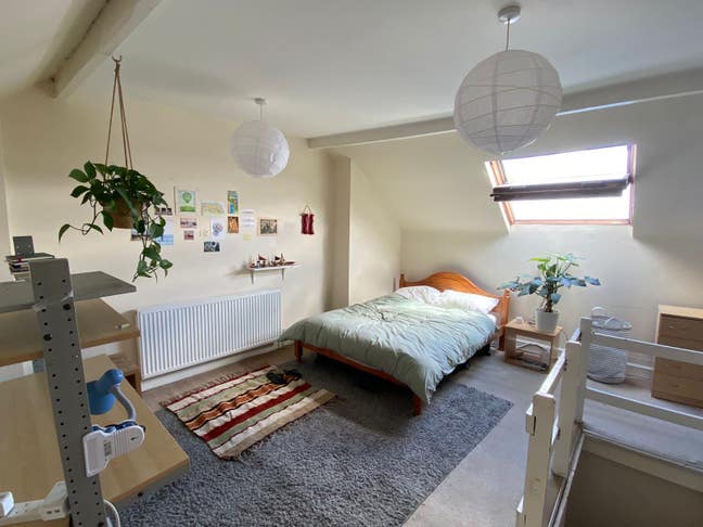 Large Double Attic Room in PhD House Main Photo
