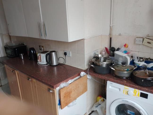 Looking for a roommate Main Photo