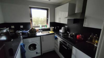 Looking a flatmate  Main Photo