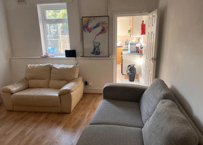 Beautiful Room in a Cosy Crookes House-Share – All Main Photo