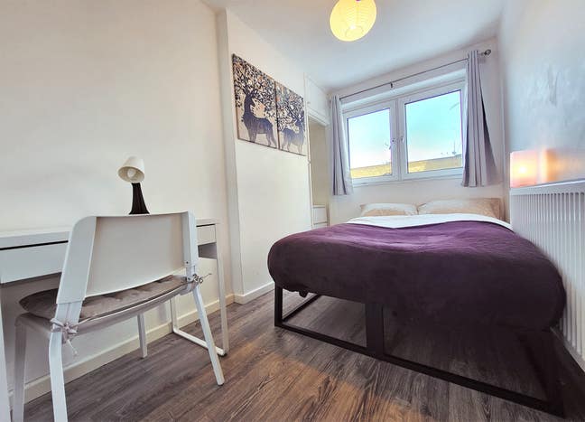 Small Double in new flat by Columbia Flower Market Main Photo