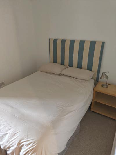 Double room in large flat in Stepney Green  Main Photo