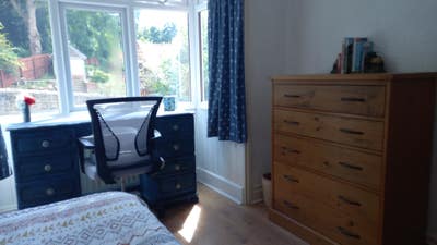  Single room in brilliant location. Main Photo